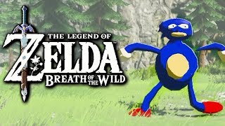 Sanic: Breath of the Fast (Sanic mod)