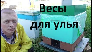 Весы для пасеки за 600 рублей своими руками.