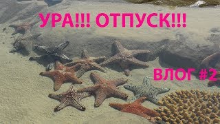 Ужас, Пляж Закрыт / Едем в Парк Развлечений Sea World / Пингвины, Дельфины, Акулы, Аттракционы, Шоу