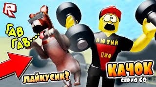 ТРОЛЛИНГ КАЧКОВ РОБЛОКС СИМУЛЯТОР КАЧКА !!! ИГРЫ РОБЛОКС #60