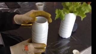 Création d'un réservoir hydroponique + mise en place pot panier et semis dans eau et nutriments