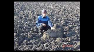 No-till & Mini-till versus традиционный метод