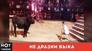 Бык сломал себе шею. Все в шоке!!! ( HOT VIDEOS | Смотреть видео HD )