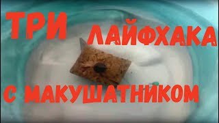 Три лайфхака для ловли на макушатник от  http://kleva.com.ua/