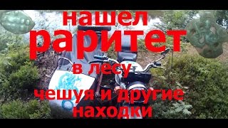 поиск монет. НАШЕЛ РАРИТЕТ в лесу.чешуя и другие находки.опять берег реки радует находками