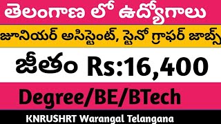 LATEST JOBS IN TELANGANA/LATEST GOVT JOBS IN TELUGU 2019|GOVT JOBS 2019|LATEST JOB NOTIFICATIIONS