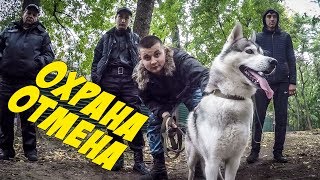 ОХРАНА ПАРКА ЗАБРАЛИ СОБАК | ДРЕССИРОВКА ХАСКИ