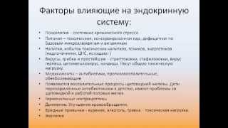 Эндокринная система "Экология здоровья 2.0"