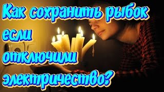 Что делать с аквариумом если отключили электричество!
