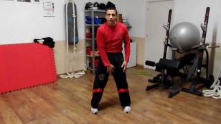 Video Lezione 4 Ving Tjun Sifu Costantini - Footwork, posizione, passi - 10.05.2011