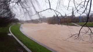 River Exe in Flood - 14th August 2014