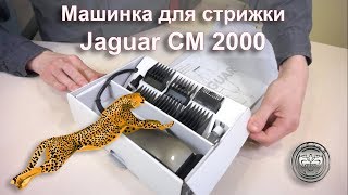 Машинка для стрижки Jaguar CM2000: отзывы, описание, распаковка