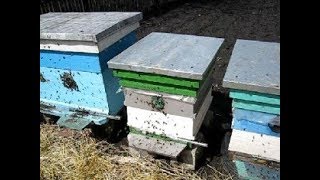 НАСТОЯЩИЙ очистительный облёт.Первые работы  на  пасеке.(28.032018г.)