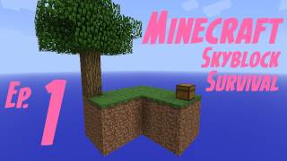 Minecraft: Skyblock Survival Ep1- Don't Look Down