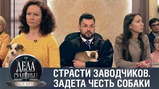 Дела судебные с Дмитрием Агрисом. Деньги верните! Эфир от 03.12.19