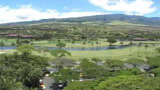 THE WESTIN MAUI RESORT & SPA - HAWAII -