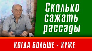 Посадка помидор.  Сколько сажать рассады