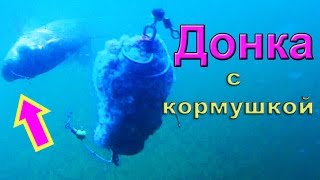 Снасть "ДОНКА с кормушкой" Ловил Карася. Рыбалка. Fishing.Подводная съемка. озеро Карасун, Краснодар