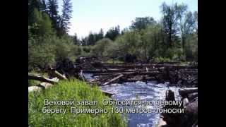 Таежные реки Дальнего Востока.