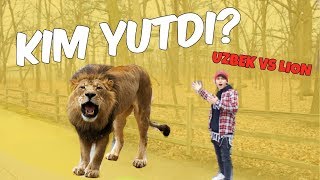 BUNAQASINI KO'RMAGANSIZ UZBEK BOLA BILAN SHER JANGI *clickbait*