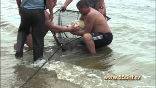Сазан на 19 кг. Рыбачим с Михаилом Топорковым.
