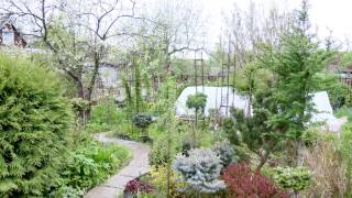 Редкие растения. Ландшафтные хитрости. Выпуск 130