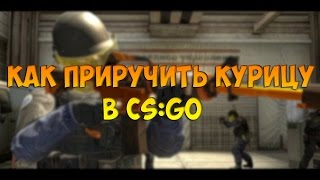 КАК ПРИРУЧИТЬ КУРИЦУ В CS:GO ► РУЧНАЯ КУРИЦА