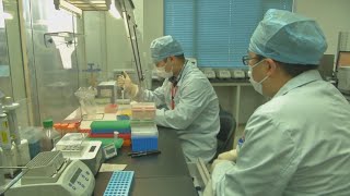 치료제 없는 신종 코로나…백신 개발도 빨라야 1년 / 연합뉴스TV (YonhapnewsTV)