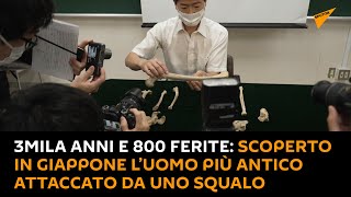 3mila anni e 800 ferite: scoperto in #Giappone l’uomo più antico attaccato da uno #squalo