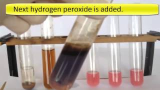 Metal complexes 10. The chemistry of Cobalt Complexes.