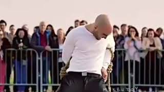 Доргели