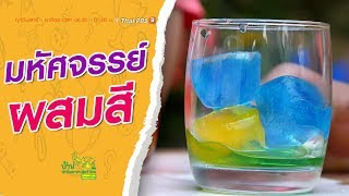 มหัศจรรย์ผสมสี : บ้านนักวิทยาศาสตร์น้อย (2 พ.ย. 62)