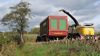 Mais hakselen met New Holland  FR550, T7.220 blue power + John Deere 7930 - Gerrits Zwinderen - 2019