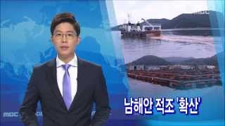 [뉴스데스크]남해안 적조 확산-R권남기(20150810월)