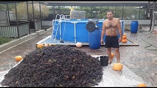 ВИНО из ВИНОГРАДА. Часть 1. ENG SUB.