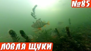 Щука на Раттлин. Подводные съемки. Зимняя рыбалка 2019