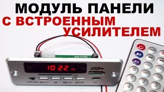 Модуль панели с встроенным усилителем. Мини обзор.