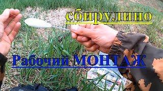 #Бомбарда монтаж снасти!#Ловля на майского жука!