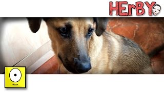 HopE | Lementünk a boltba (kutya szinkron)