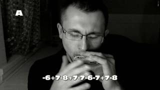 Нежность (Опустела без тебя Земля) табы для губной гармошки