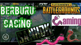 Berburu Cacing SANHOK || PUBG MOBILE