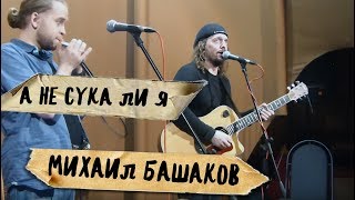 "а не сука ли я?" Михаил Башаков и Борис Плотников