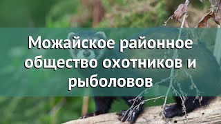 Охота в Московской области – Можайское районное общество охотников и рыболовов охота на рябчика