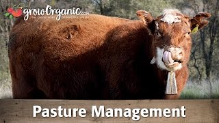 Sustainable Pasture Management Tips