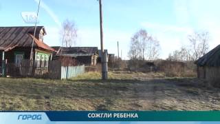 Ребенка сожгли в печи в Нижегородской области