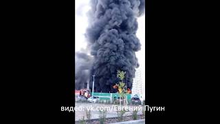 Пожар Европейский Тюмень 29 08 2018