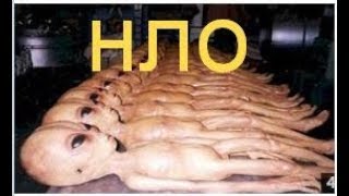 НЛО в деревне Уникальные редкие кадры Прикол с детьми