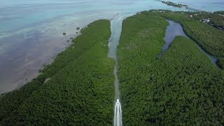 The Tides of Time: Islamorada, Florida