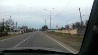 Коровы на дороге в Самегрело, Грузия, 19.12.2014