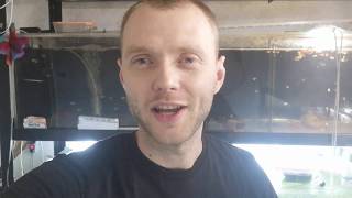 А что  дальше? Новости!